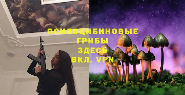 ГАЛЛЮЦИНОГЕННЫЕ ГРИБЫ Абинск